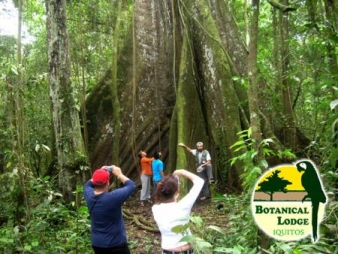 Botanical Lodge en Selva de Iquitos 4 Dias
